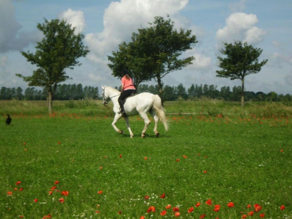 Ferienwohnung "Kranich" Im Ferien-Resort Ruegen ซาการ์ด ภายนอก รูปภาพ