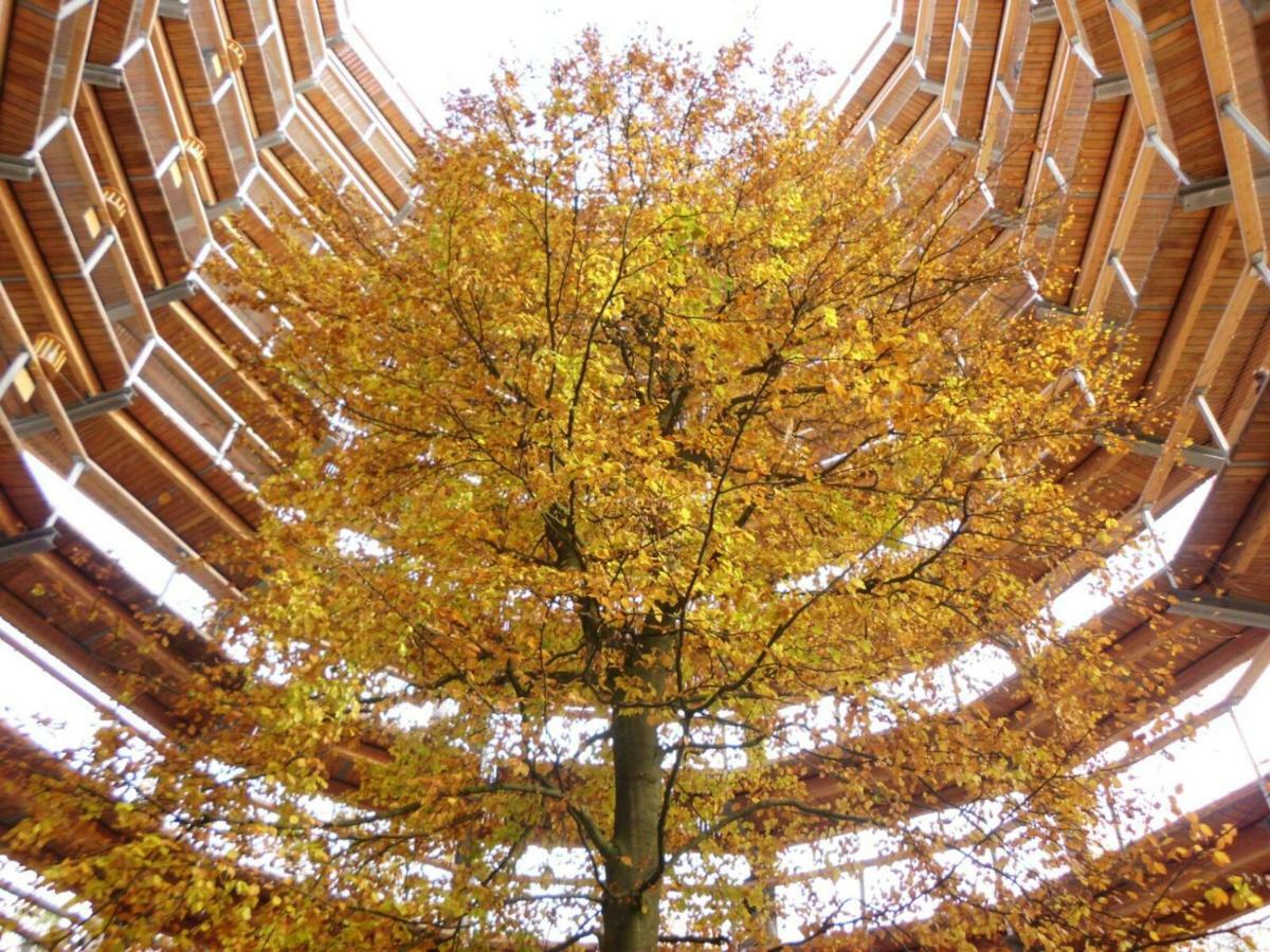 Ferienwohnung "Kranich" Im Ferien-Resort Ruegen ซาการ์ด ภายนอก รูปภาพ